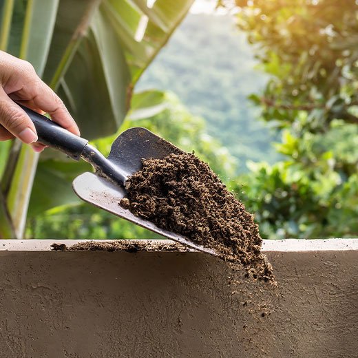 Test-First.-Treat-Precisely