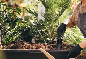 When-soil-structure-improves